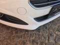 Ford Fiesta Fiesta Trend 1,5 TDCi Trend Weiß - thumbnail 11