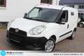 Fiat Doblo Kasten 1,3 JTD BITTE ERST TEXT GENAU LESEN Weiß - thumbnail 14