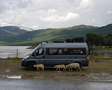 Caravans-Wohnm Pössl Pössl LMC Offroad / Fiat Ducato Blau - thumbnail 8