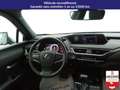 Lexus UX 250h 250h Pack +PDC AR/AV Gris - thumbnail 14