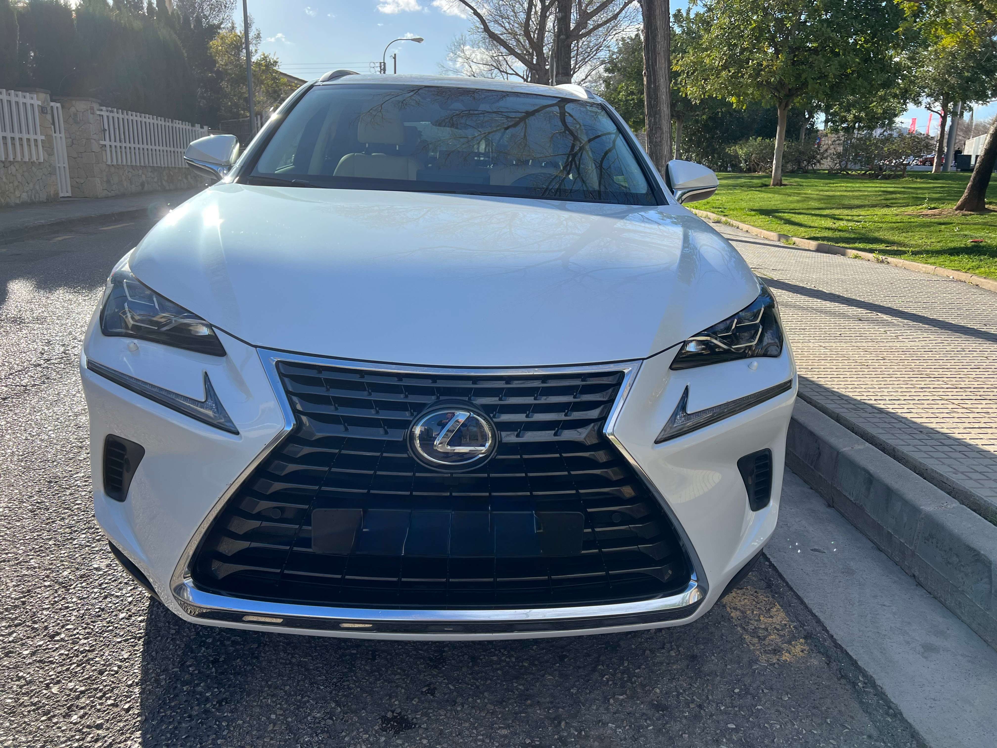 Lexus NX 300h luxury - foto 1