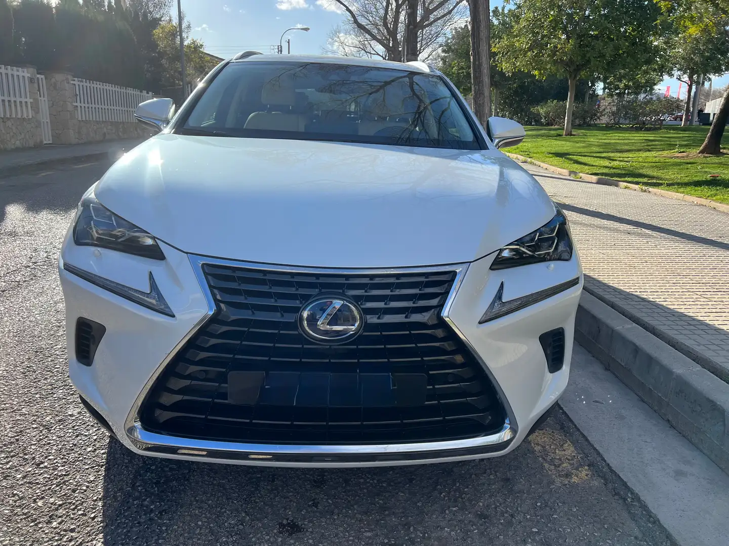 Lexus NX 300h luxury Blanco - 1