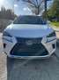 Lexus NX 300h luxury Blanco - thumbnail 2