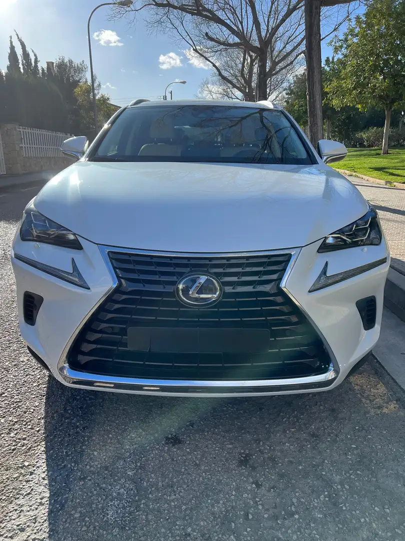 Lexus NX 300h luxury Blanco - 2