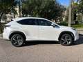 Lexus NX 300h luxury Blanco - thumbnail 4