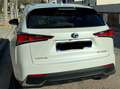 Lexus NX 300h luxury Blanco - thumbnail 17