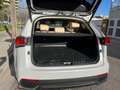 Lexus NX 300h luxury Blanco - thumbnail 7