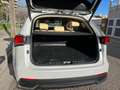 Lexus NX 300h luxury Blanco - thumbnail 9