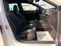 CUPRA Leon SP Kombi Alpha 2.0 TDI DSG 150/AHK/RFK/TWA/ACC/... Weiß - thumbnail 25
