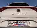 CUPRA Leon SP Kombi Alpha 2.0 TDI DSG 150/AHK/RFK/TWA/ACC/... Weiß - thumbnail 18