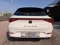 CUPRA Leon SP Kombi Alpha 2.0 TDI DSG 150/AHK/RFK/TWA/ACC/... Weiß - thumbnail 15