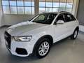 Audi Q3 2.0tdi QUATTRO Sport 150cv s-tronic Bianco - thumbnail 3
