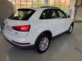 Audi Q3 2.0tdi QUATTRO Sport 150cv s-tronic Bianco - thumbnail 7