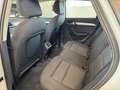 Audi Q3 2.0tdi QUATTRO Sport 150cv s-tronic Bianco - thumbnail 12