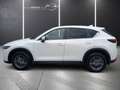 Mazda CX-5 CX-5 CD 150 Attraction LENKRDHZG+ASSIST+NAVI Weiß - thumbnail 8