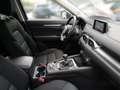 Mazda CX-5 CX-5 CD 150 Attraction LENKRDHZG+ASSIST+NAVI Weiß - thumbnail 20
