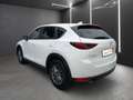 Mazda CX-5 CX-5 CD 150 Attraction LENKRDHZG+ASSIST+NAVI Weiß - thumbnail 7