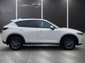 Mazda CX-5 CX-5 CD 150 Attraction LENKRDHZG+ASSIST+NAVI Weiß - thumbnail 4