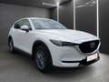 Mazda CX-5 CX-5 CD 150 Attraction LENKRDHZG+ASSIST+NAVI Weiß - thumbnail 3