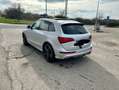 Audi SQ5 3.0 tdi biturbo Business quattro tiptronic Grigio - thumbnail 3