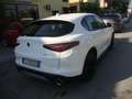 Alfa Romeo Stelvio 2.2 turbodiesel auto Bianco - thumbnail 6