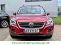 Volkswagen Tiguan Track & Field 4Motion*BI-Xenon/SHZ/Navi* Rouge - thumbnail 2