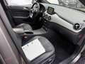 Mercedes-Benz B 250 *Avangarde*Aut*Klima*Pano*Xenon*PDS*EU 6 Grau - thumbnail 11