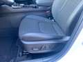 Kia Sportage 1.6T HEV 2WD SPI DRIVE SOUND Weiß - thumbnail 20