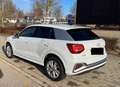 Audi Q2 35 1.5 tfsi S line Bianco - thumbnail 13