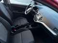 Kia Picanto 1.1i 12v EX Red - thumbnail 5