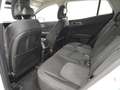 Kia Sportage 1.6 T-GDi HEV 171kW (230CV) Drive 4x2 Weiß - thumbnail 6