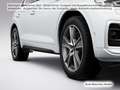 Audi Q5 50 TFSI e qu. S tronic S line AHK/Carbon/Pano Weiß - thumbnail 10