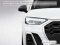 Audi Q5 50 TFSI e qu. S tronic S line AHK/Carbon/Pano Weiß - thumbnail 8