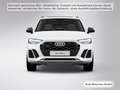 Audi Q5 50 TFSI e qu. S tronic S line AHK/Carbon/Pano Weiß - thumbnail 16