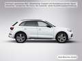 Audi Q5 50 TFSI e qu. S tronic S line AHK/Carbon/Pano Weiß - thumbnail 18