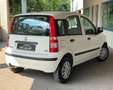 Fiat Panda 1.2 Active ** 2. Hand ** Tüv Neu ** Weiß - thumbnail 6