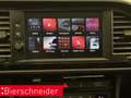 SEAT Leon SP 2.0 TSI DSG 4Dr Cupra Copper Ed AB 197EUR BEATS Grau - thumbnail 26