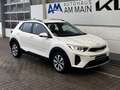 Kia Stonic 1.0T DCT VISION | NAVI | KAMERA | PDC Weiß - thumbnail 7