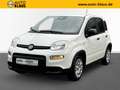 Fiat Panda 1.0 Mild Hybrid City-Paket PDC Klimaanlage Blanco - thumbnail 1
