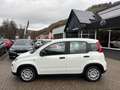Fiat Panda 1.0 Mild Hybrid City-Paket PDC Klimaanlage Blanco - thumbnail 2