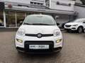 Fiat Panda 1.0 Mild Hybrid City-Paket PDC Klimaanlage Blanco - thumbnail 18