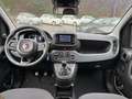 Fiat Panda 1.0 Mild Hybrid City-Paket PDC Klimaanlage Blanco - thumbnail 9