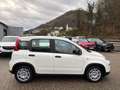 Fiat Panda 1.0 Mild Hybrid City-Paket PDC Klimaanlage Blanco - thumbnail 4