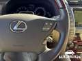 Lexus LS 460 President V8 2007 Full-Option! Azul - thumbnail 47