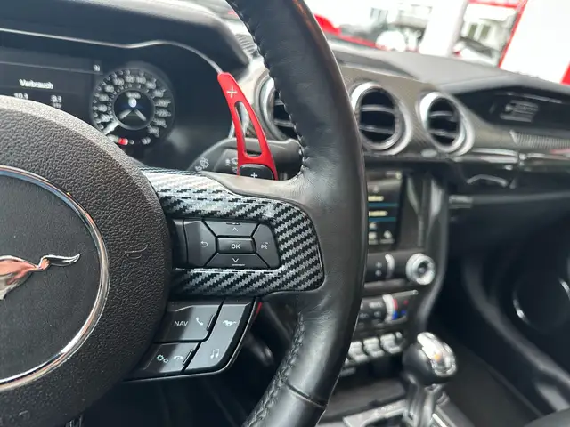 Ford Mustang Mustang 5,0 Ti-VCT V8 GT Ansicht 21