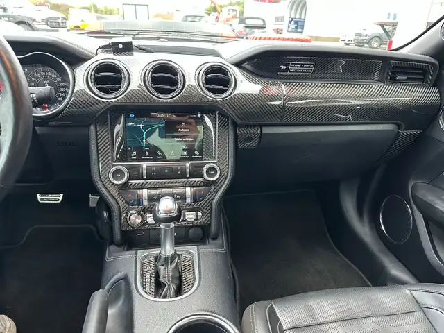 Ford Mustang Mustang 5,0 Ti-VCT V8 GT Ansicht 22