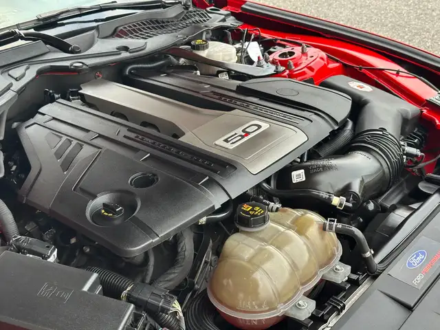 Ford Mustang Mustang 5,0 Ti-VCT V8 GT Ansicht 32