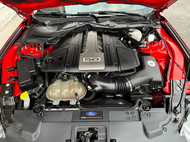 Ford Mustang Mustang 5,0 Ti-VCT V8 GT Ansicht 31