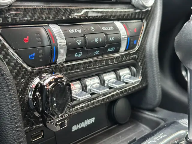 Ford Mustang Mustang 5,0 Ti-VCT V8 GT Ansicht 30