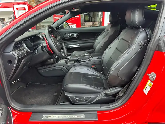 Ford Mustang Mustang 5,0 Ti-VCT V8 GT Ansicht 15